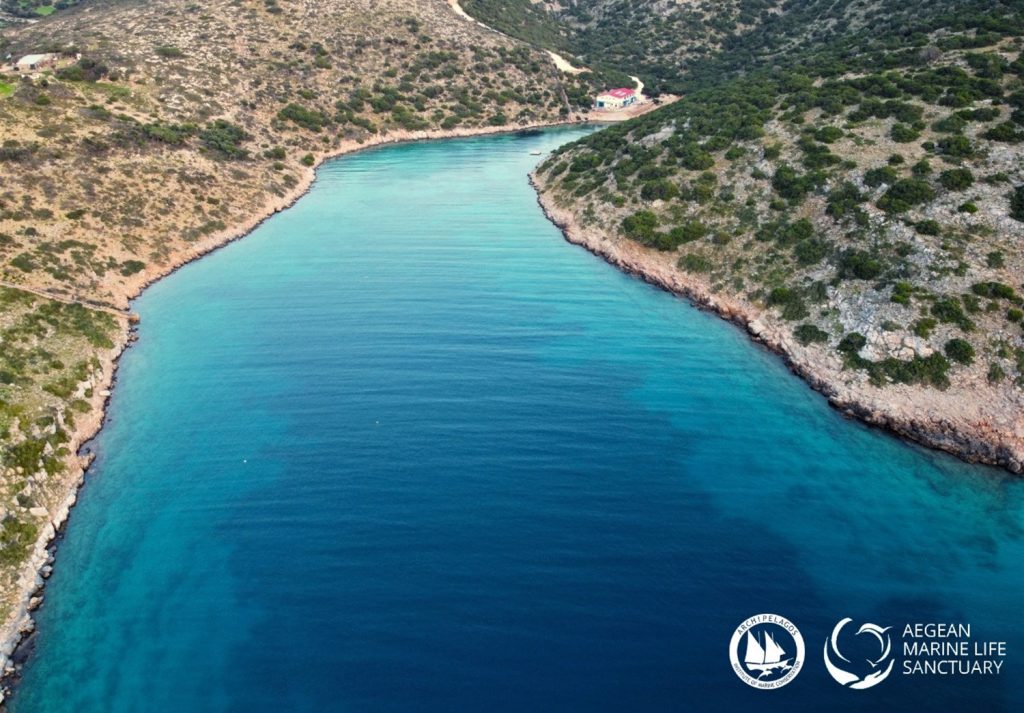 6,5 χρόνια κωλυσιεργίας και στοχευμένης γραφειοκρατικής παρεμπόδισης για το Κέντρο Περίθαλψης & Καταφύγιο Θαλάσσιων Ειδών στο Αιγαίο
