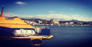 aktoploia_flying_dolphin_