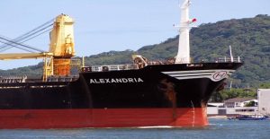 alexandria_halkousis_