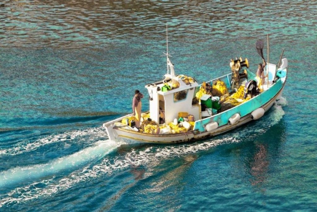 WWF: Μια ομάδα παράκτιων ψαράδων σε Άνδρο και Κύθνο καινοτομεί και οδεύει προς τη βιώσιμη αλιεία