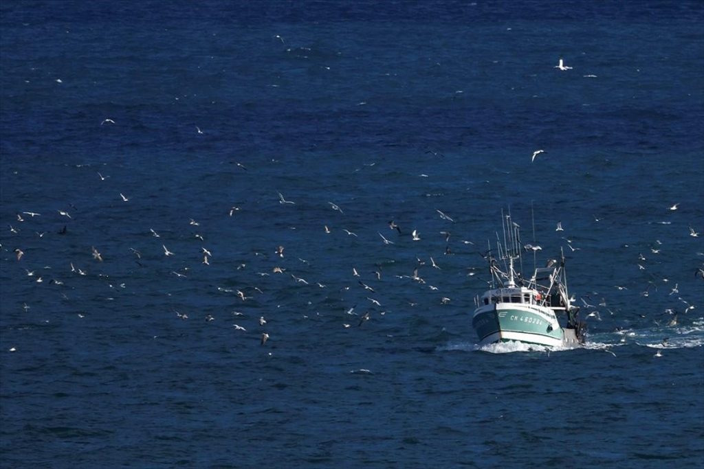Καθολική απαγόρευση αλιείας στη Γυάρο για τα επόμενα δύο χρόνια
