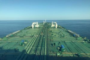 amphtrite_minerva_marine_