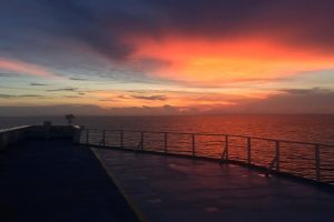 ampitrite_minerva_marine_