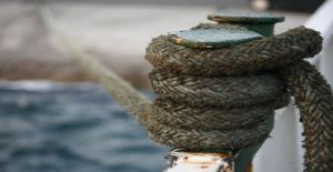 apergia_nautergaton_