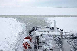 arktiki_nautilia_perasma_