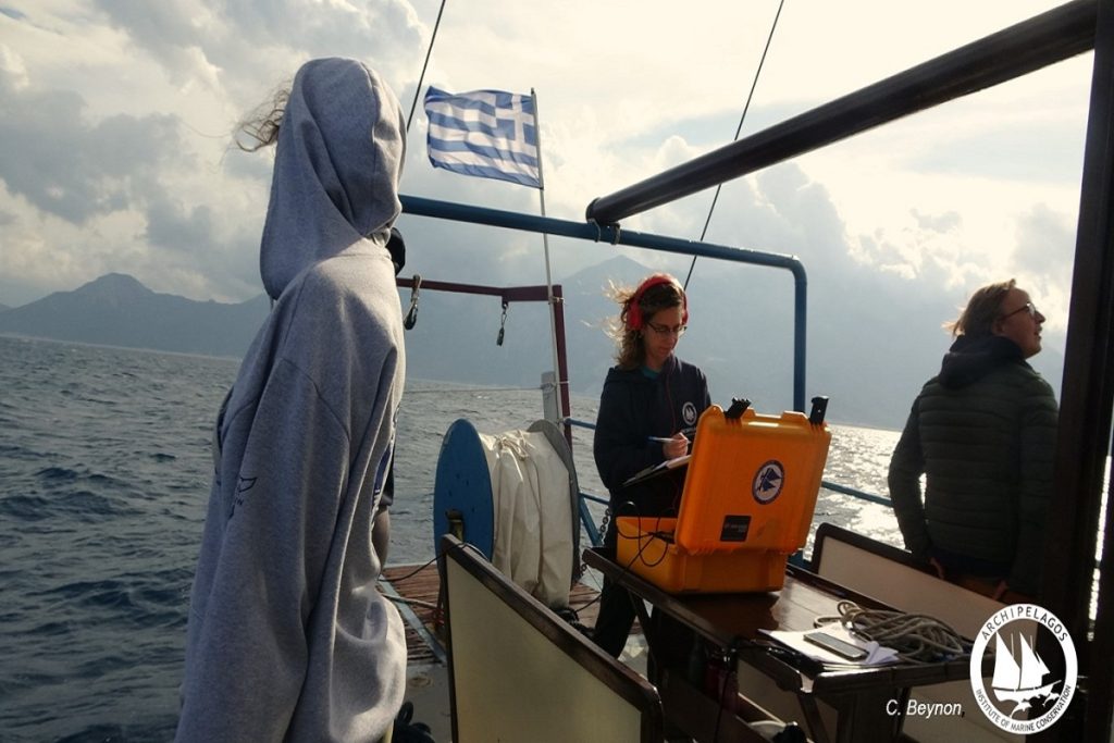 «Σπάνια είδη και στρατιωτικές ασκήσεις στις ίδιες θάλασσες μοναδικής βιοποικιλότητας »