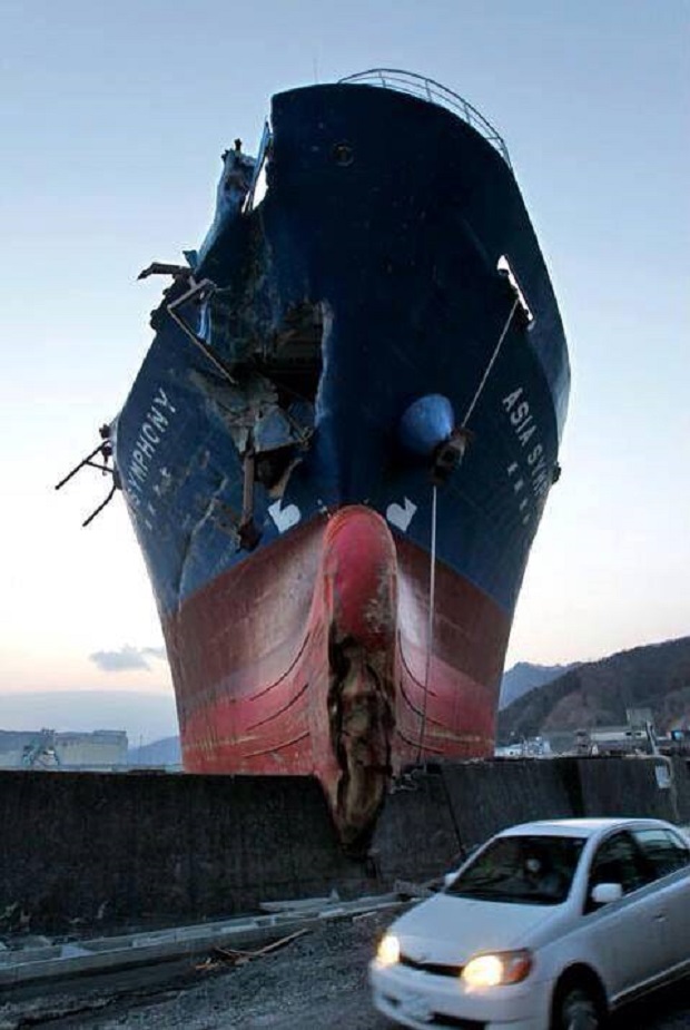 asia_symphony_nautilia_