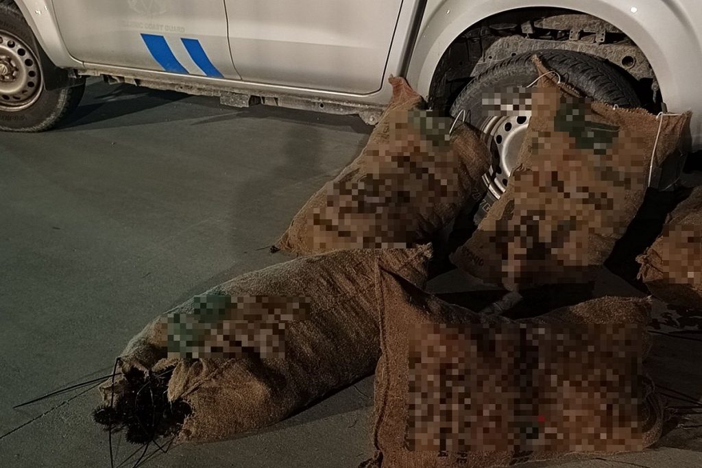 Πρόστιμα για παράνομη αλιεία στη Χαλκίδα