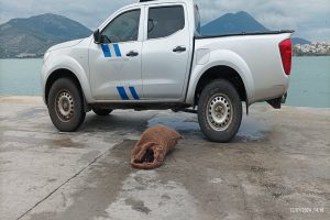 axinoi_paranomoi_alieusi_