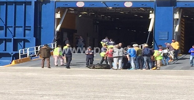 blue_star_delos_ (3)