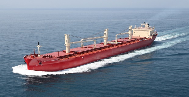 bulk_carrier_