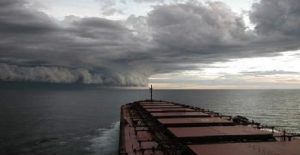 bulk_carrier_nautilia_