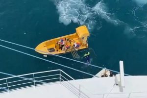 carnival_crew_member_falls_