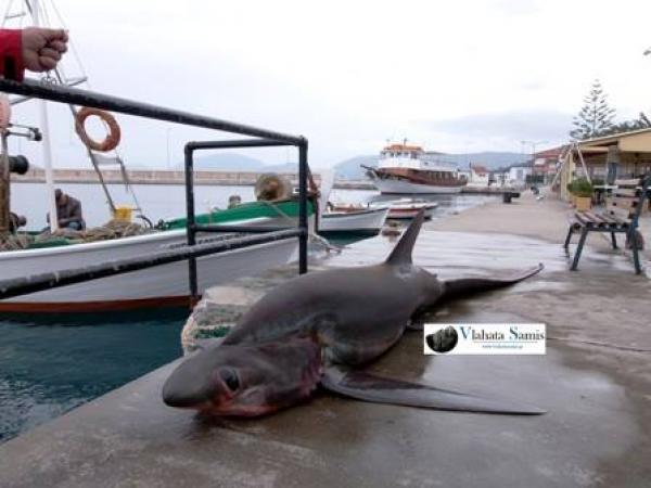 ccdfeb2938d7f634b4aa0a82b0b19a8b_XL