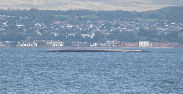 cptgiannnis_nauagio_ (2)