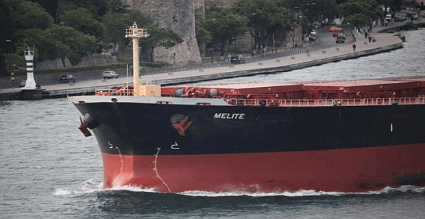 Περιόρισε τις τριμηνιαίες ζημιές της η Diana Shipping