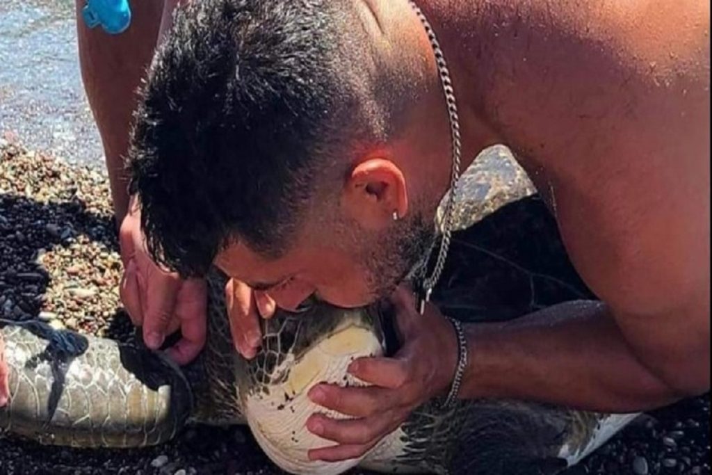 Διάσωση χελώνας στην παραλία Γενναδίου - Την γλίτωσαν από βέβαιο θάνατο
