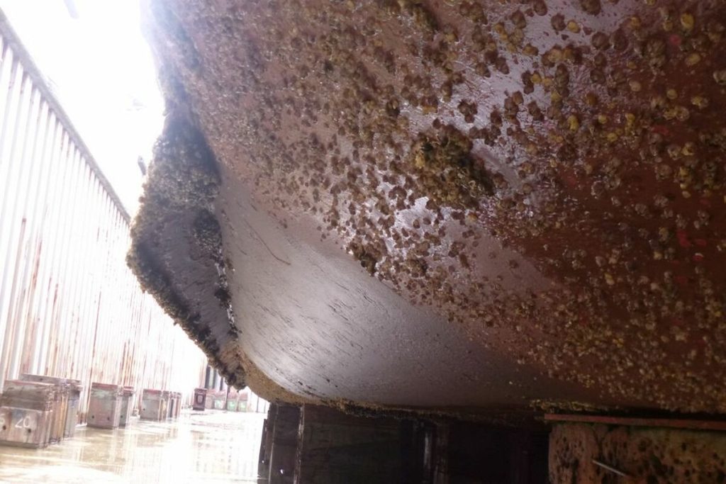 Η Αυστραλία ανακοινώνει νέα μέτρα biofouling για τα πλοία που καταφτάνουν στην χώρα