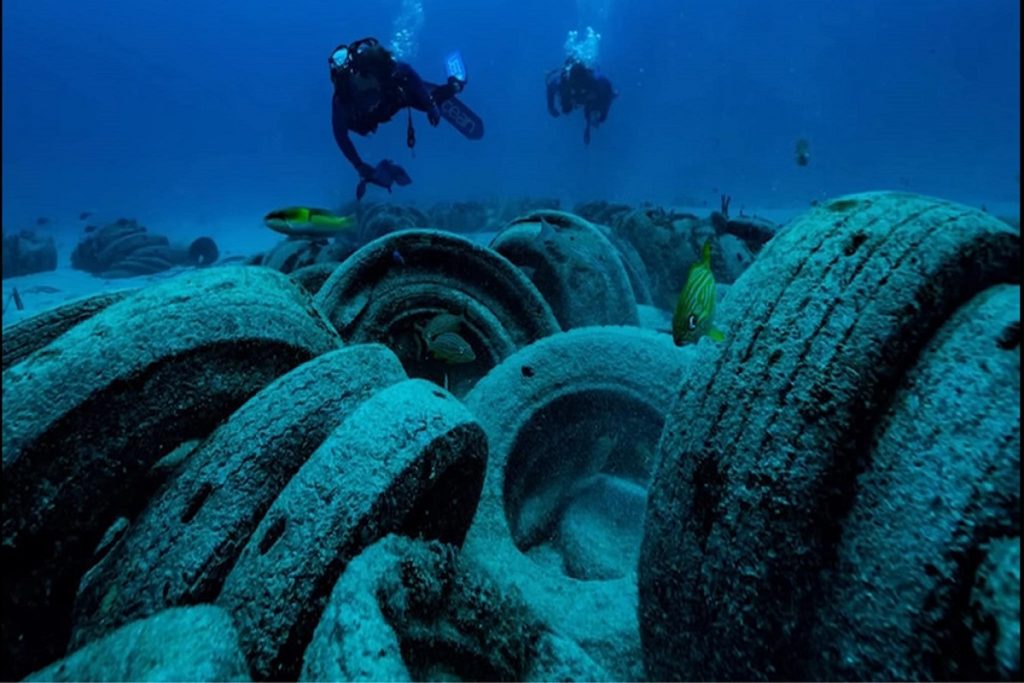 Αρχική Σελίδα