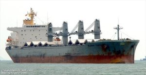 elena_topic_fortigo_ploio_