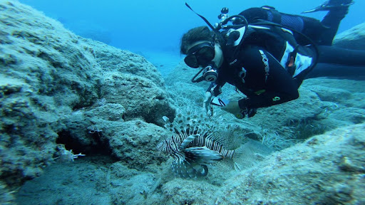 Έρευνα του ΙΘΑΒΒΥΚ για τις επιπτώσεις της παρουσίας του λεοντόψαρου στις παραλίες της Κρήτης