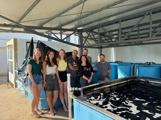 Έρευνα του ΙΘΑΒΒΥΚ για τις επιπτώσεις της παρουσίας του λεοντόψαρου στις παραλίες της Κρήτης