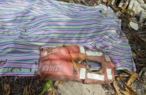 entopismos-2Bptwmatos-2Bstis-2Bmaldibes