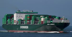 evergreen_pontoporos_nautilia_