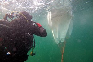 exoudeterosi_narkis_