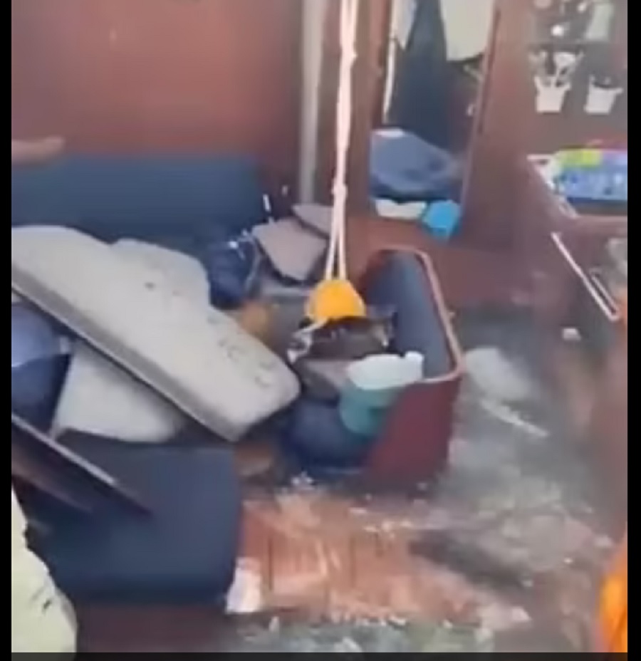 Τρομακτική στιγμή: Φάλαινες επιτέθηκαν και βούλιαξαν ιστιοπλοϊκό σκάφος στον Ατλαντικό! (Φωτογραφίες)