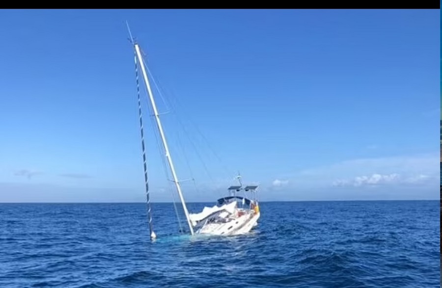 Τρομακτική στιγμή: Φάλαινες επιτέθηκαν και βούλιαξαν ιστιοπλοϊκό σκάφος στον Ατλαντικό! (Φωτογραφίες)