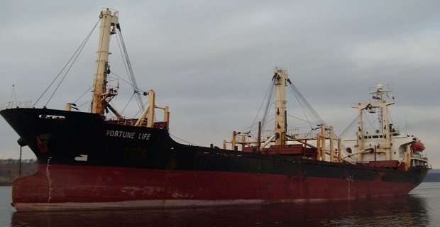 11 αγγνοούμενοι από βύθιση φορτηγού πλοίου στις Φιλιππίνες VLUU L110, M110 / Samsung L110, M110