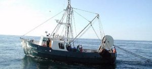 gazakia-2Bse-2Balieytiko-2Bskafos