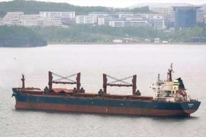 gdkvf6swuaafzgu_252863_427854_type13262