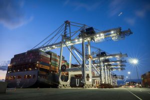 geranoi_kinezikhs_kataskyhs