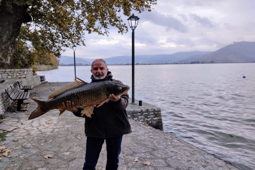 Έβγαλε γριβάδι 14 κιλών στη λίμνη Καστοριάς!