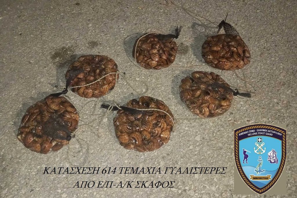 Στυλίδα: Νέο περιστατικό παράνομης αλιείας