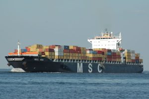 (c)2005 Petie'81/Petie81.nl