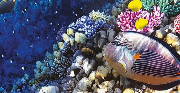 Στη Σπάρτη η Εκστρατεία HELMEPA - Lloyd's Register Foundation