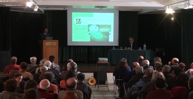 imerida_sea_diamond_