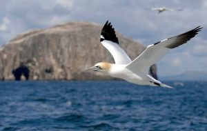 imo_apagoreuse_xhmiko_pou_skotwse_xiliades_8alassopoulia