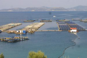 É×ÈÕÏÊÁËËÉÅÑÃÅÉÅÓ