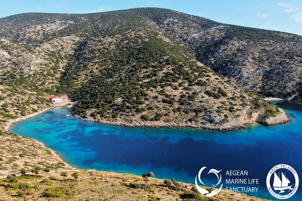 Καταφύγιο Θαλάσσιας Ζωής Αιγαίου - Ένα αναγκαίο και καινοτόμο εγχείρημα σε αναμονή…