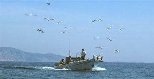 katargisi_erasitexnikis_adeias_alieias_