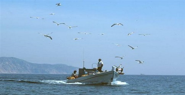 katargisi_erasitexnikis_adeias_alieias_