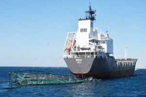 katastrofh_ixthiokalliergias_forthgo_ploio