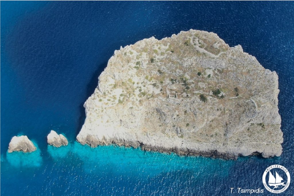 Τα κατσίκια ερημοποιούν τις νησίδες του Αιγαίου!