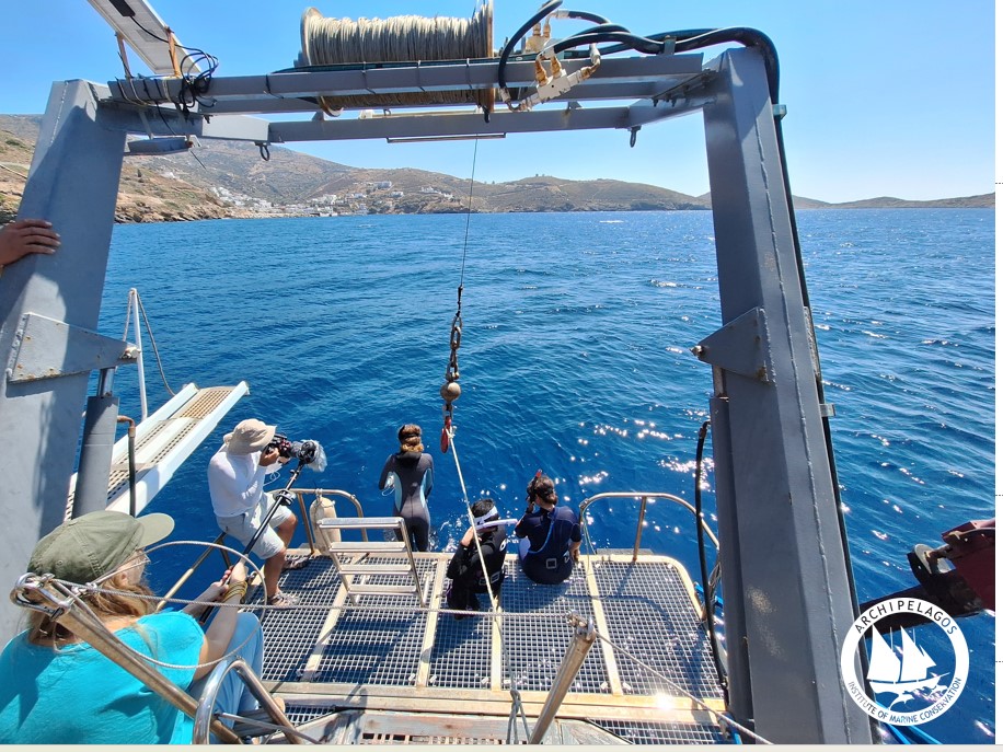 Φυτεύοντας Υποβρύχιους Κήπους Ποσειδωνίας – Mια νέα καινοτόμος διαδικασία φύτευσης