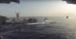 kokainh_imivuthizomeno_skafos_aktofylaki