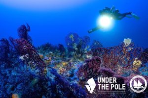 koralligenoi_oikotopoi_